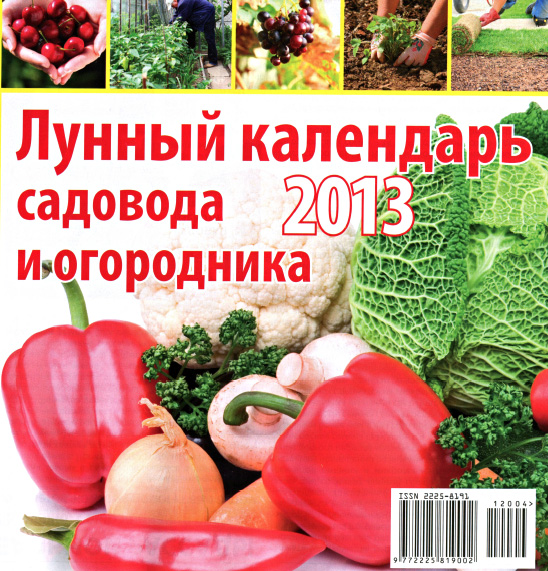 Выходные дни в башкирии праздничные дни