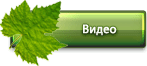 Видео по виноградарству